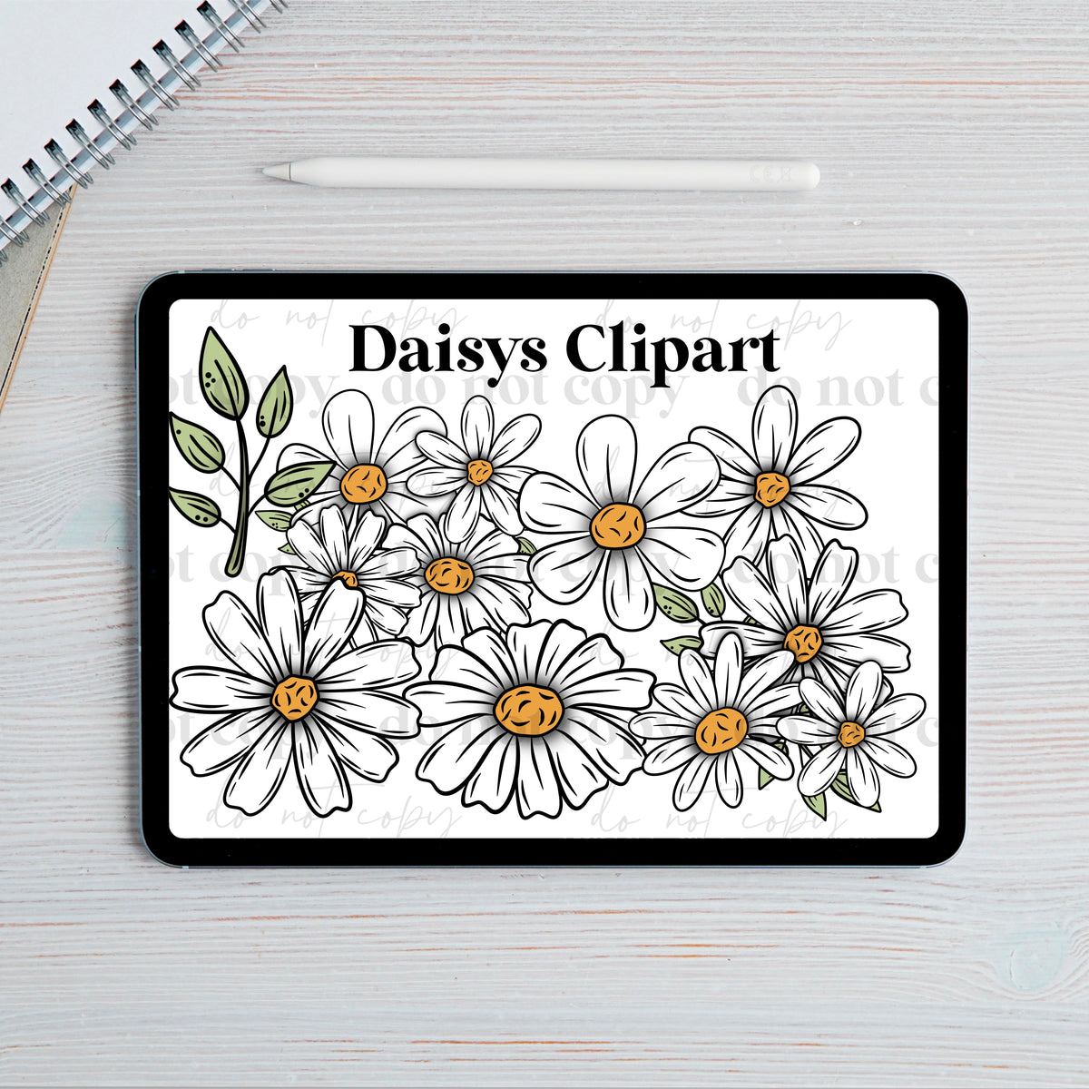 Daisys Clipart set