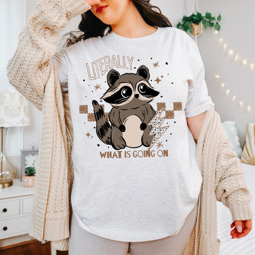 What’s Going On Raccoon PNG
