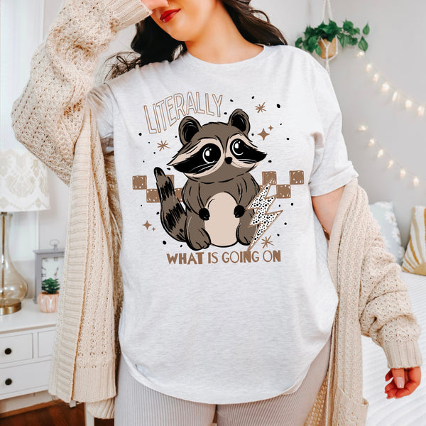 What’s Going On Raccoon PNG