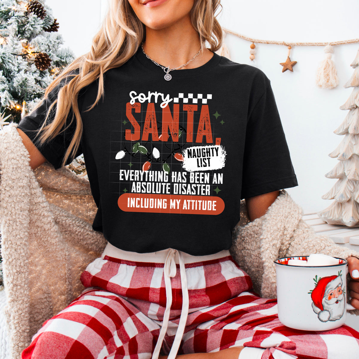 Sorry Santa PNG