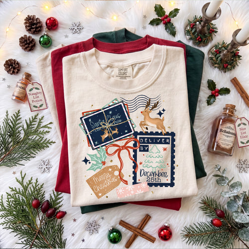 Christmas Postage w/ Sleeves PNG