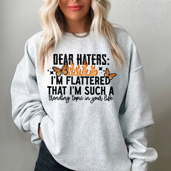 Dear Haters PNG