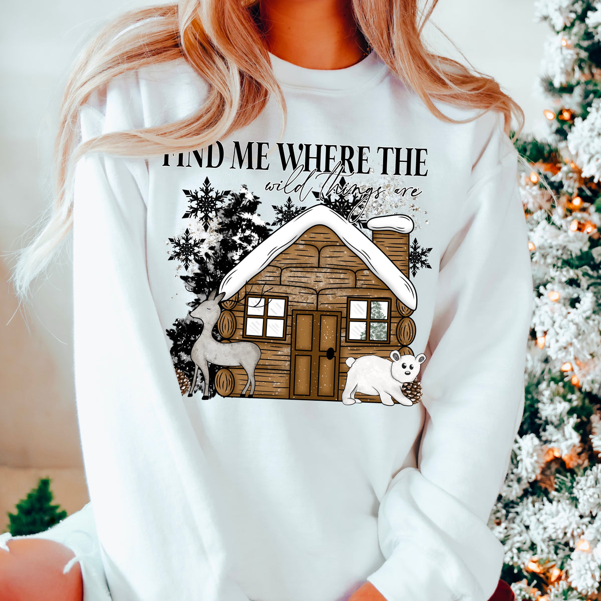 Winter Cabin PNG
