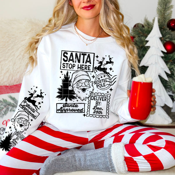 Christmas Delivery w/ Sleeves PNG