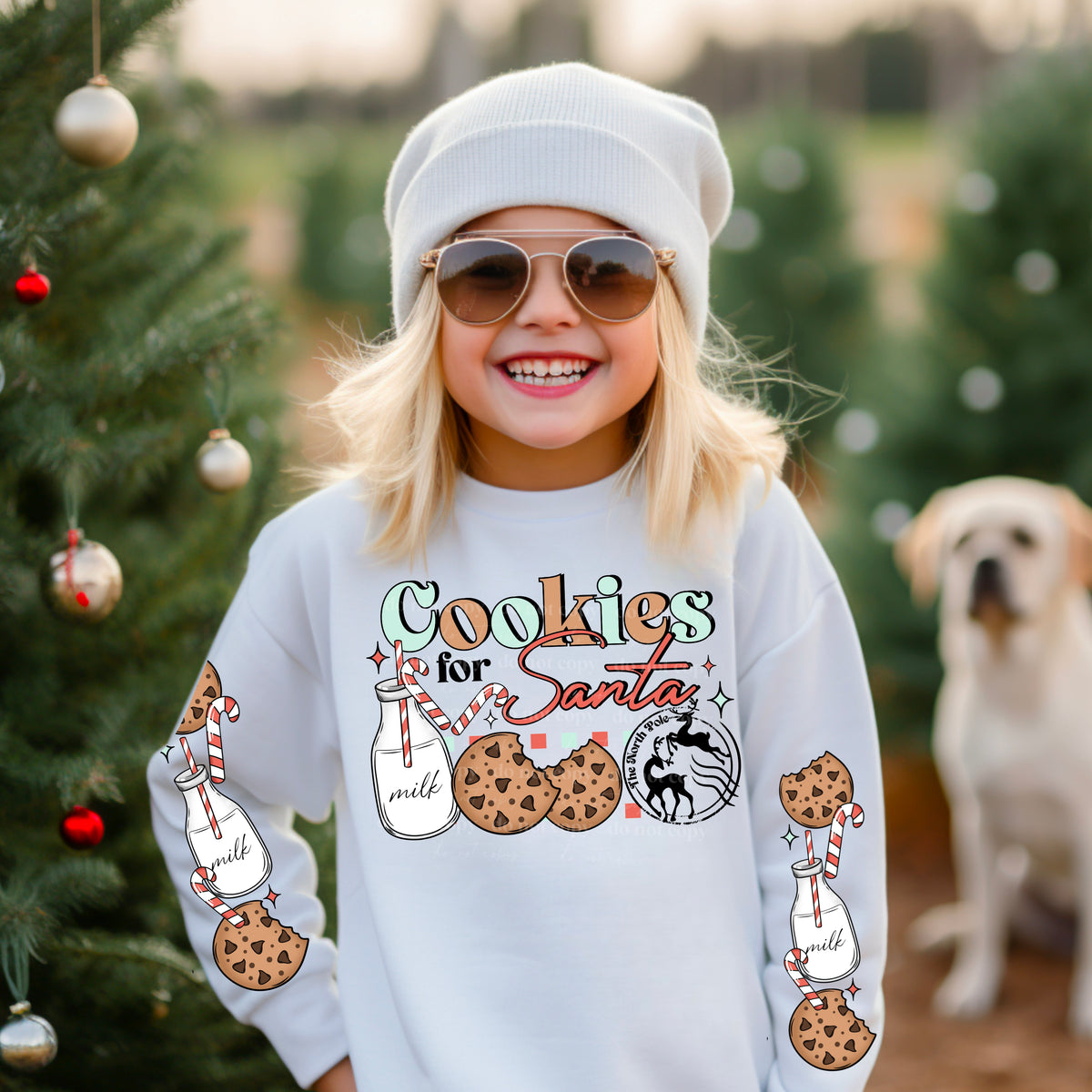 Cookies For Santa w/ Sleeves PNG